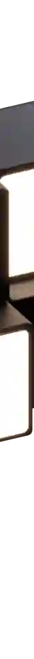 future light