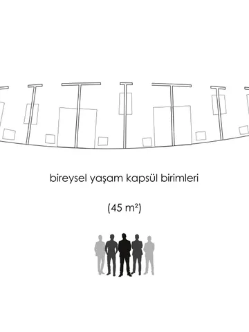 Capsule