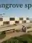 Mangarove spine