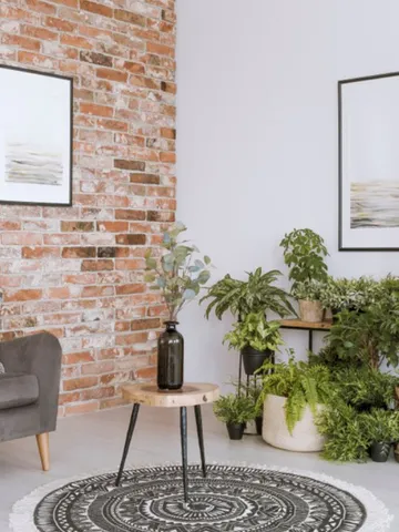 Interior Designing Ideas That Are High Impactful But Low-Cost With STYLARC