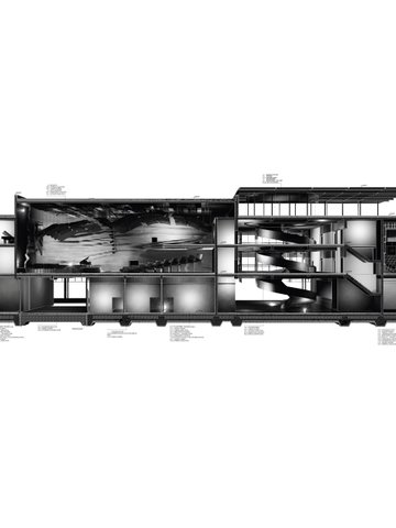 Section