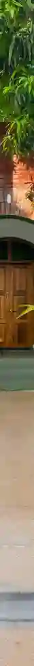 House of NO Windows