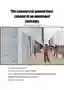 The Commercial Ground Floor: Catalyst of an Unplanned Centrality . Jet Sakane, Agadir, Morocco