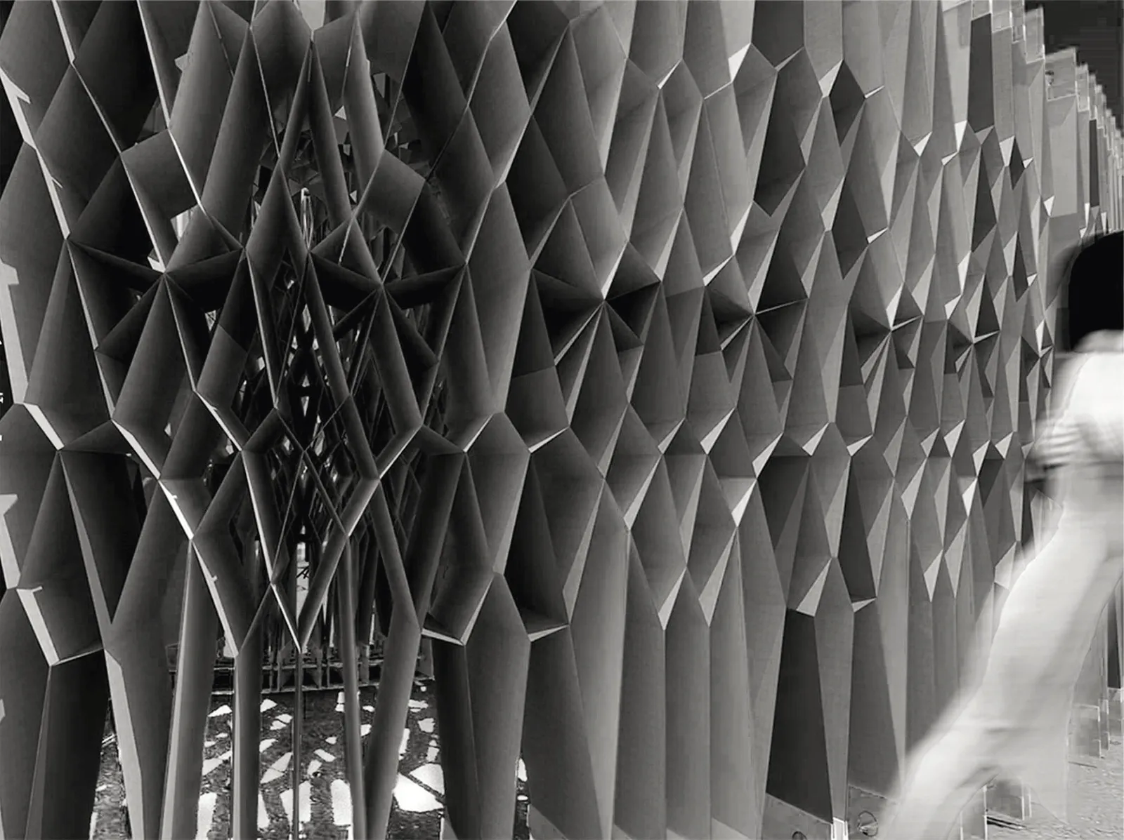 Profile Cover