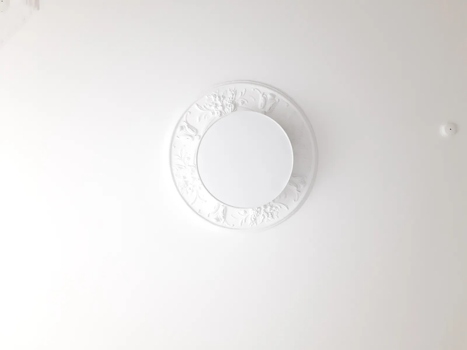 Profile Cover