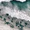 Olga Czajkowska