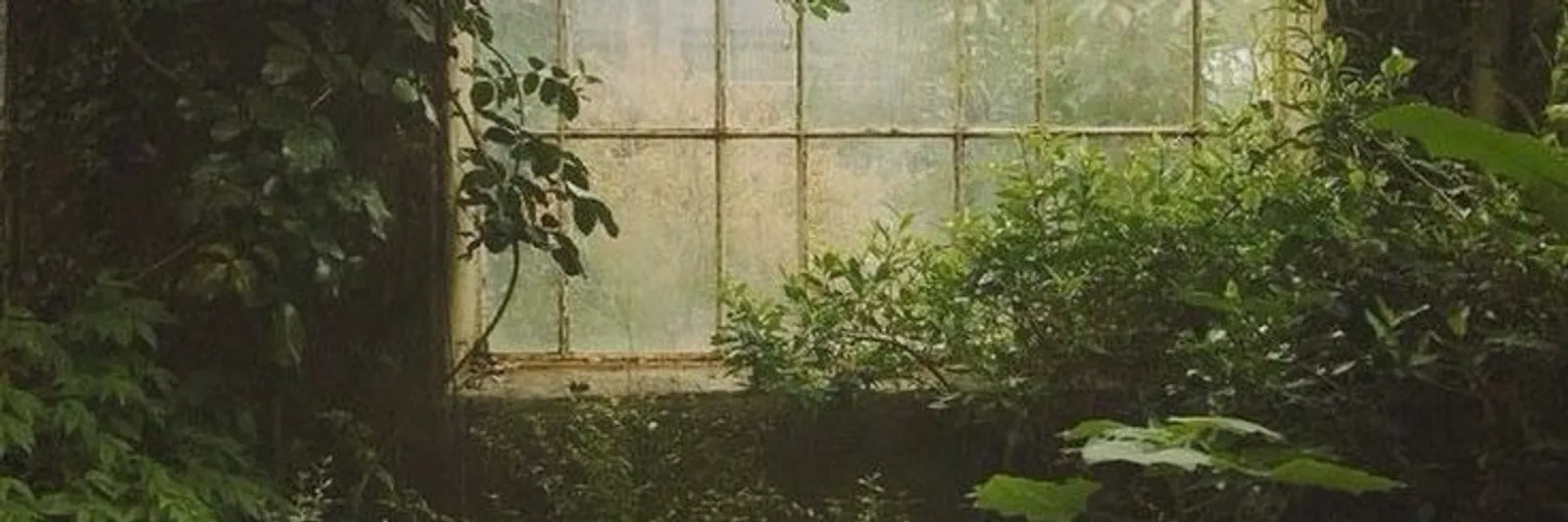 Profile Cover