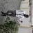 Amanor Quansah