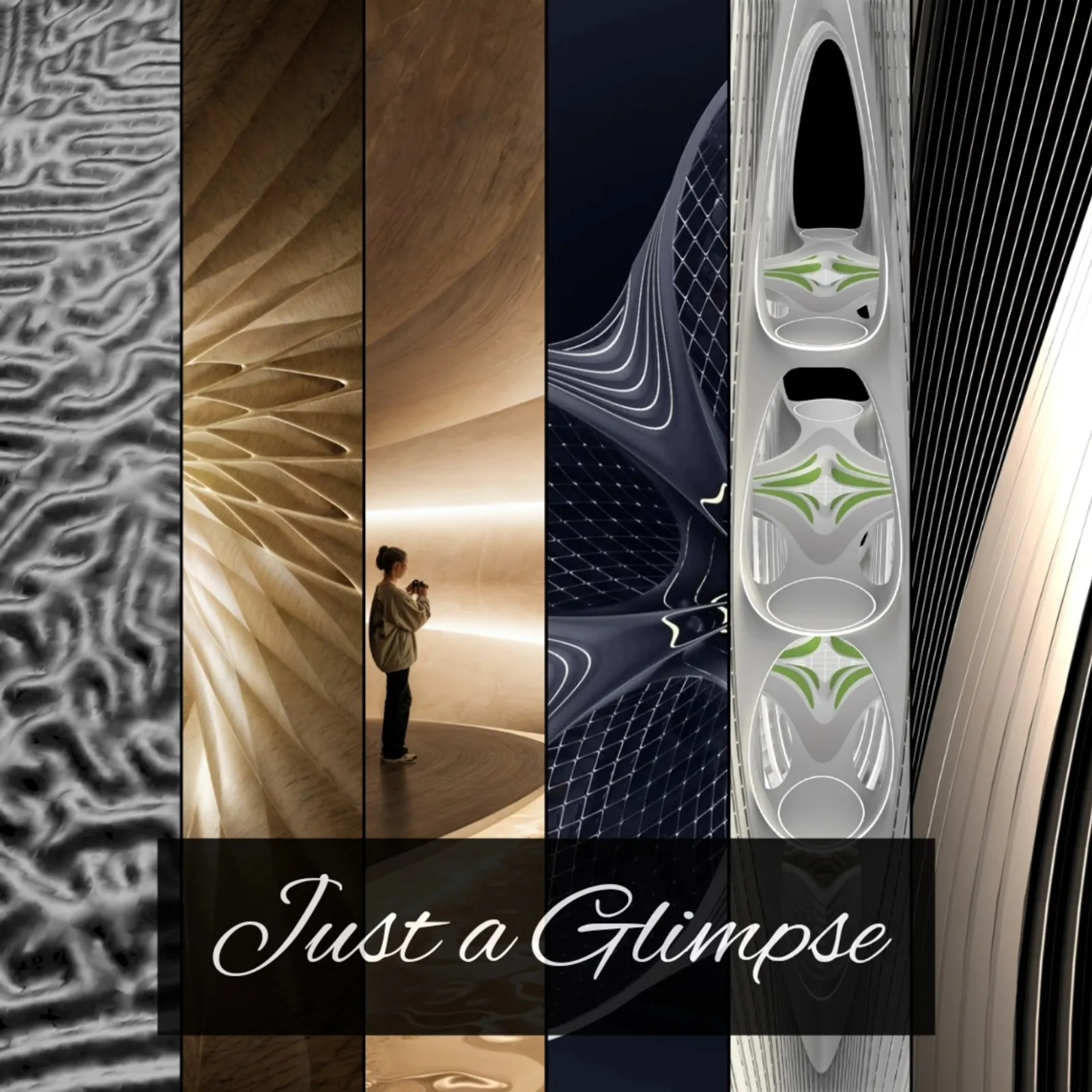 Profile Cover