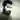 Anas Ahmed
