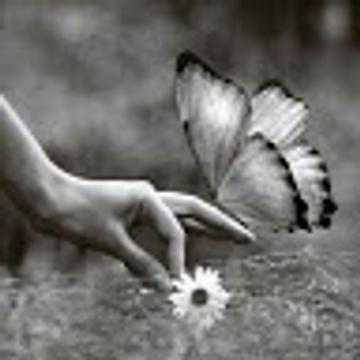 Ania Para
