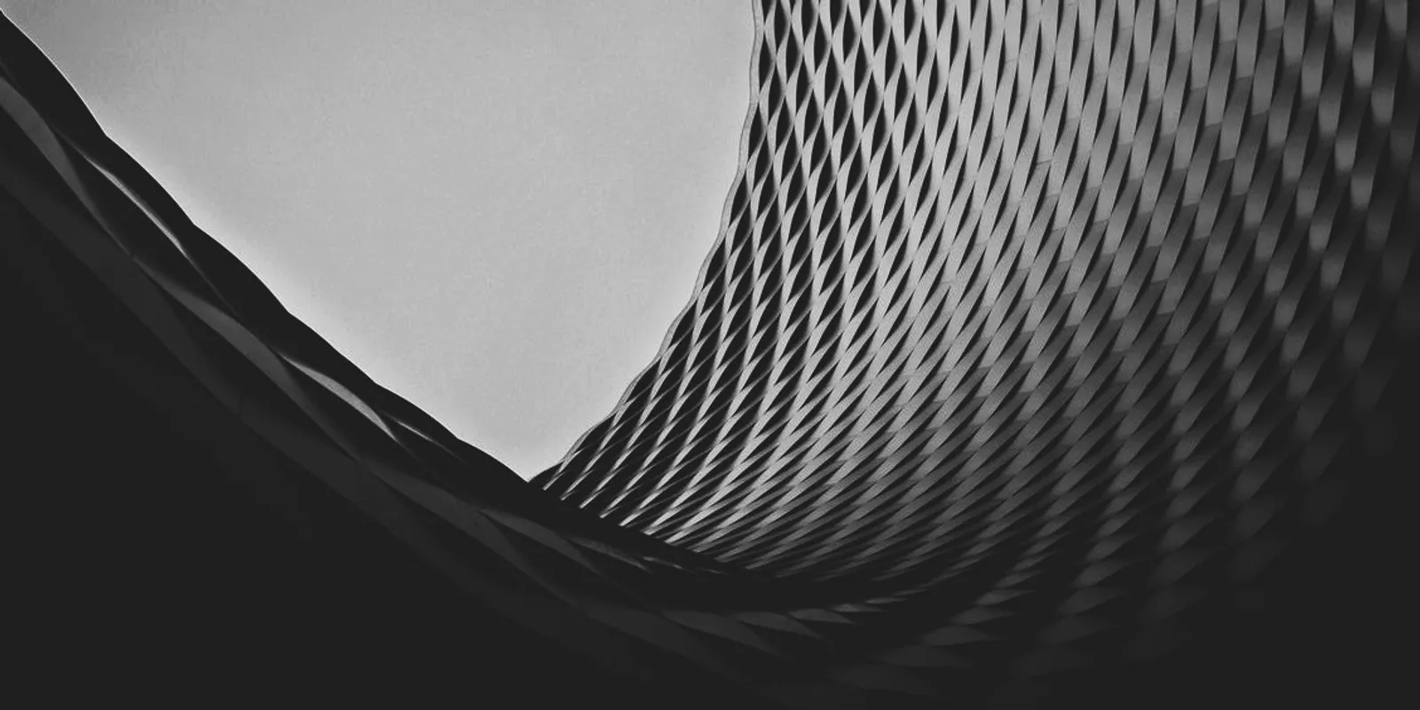 Profile Cover