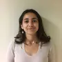 Nisan Ari