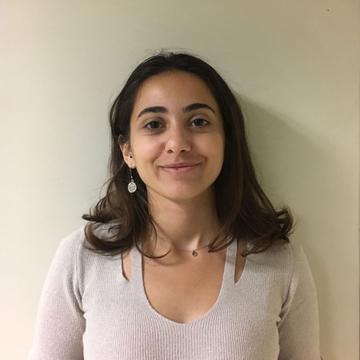 Nisan Ari
