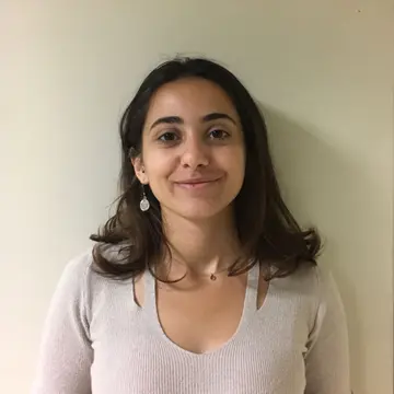 Nisan Ari