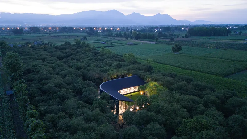 Aerial dusk view of the U-shaped black roof threading through the mango grove