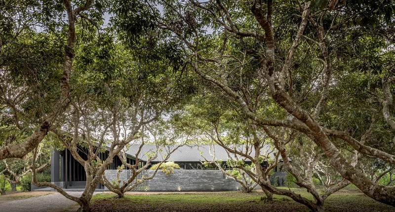 The cafe seen through the trunks of the existing mango orchard from outside