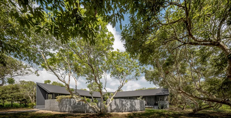 The cafe emerging from the orchard under a bright sky