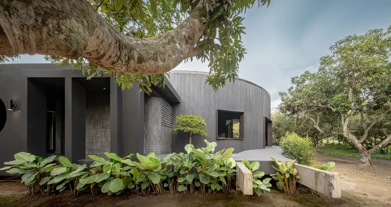 Curved rear wing of the cafe clad in dark timber with a low planter of large-leaf foliage