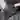 chao feng