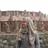 fariha