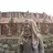 fariha