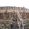 fariha bushra