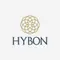 hybon Elevators