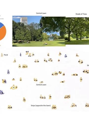 Enhancing Cultural Inclusion in Sheffield Urban Parks_Understanding of the Needs and Preferences of Chinese Residents