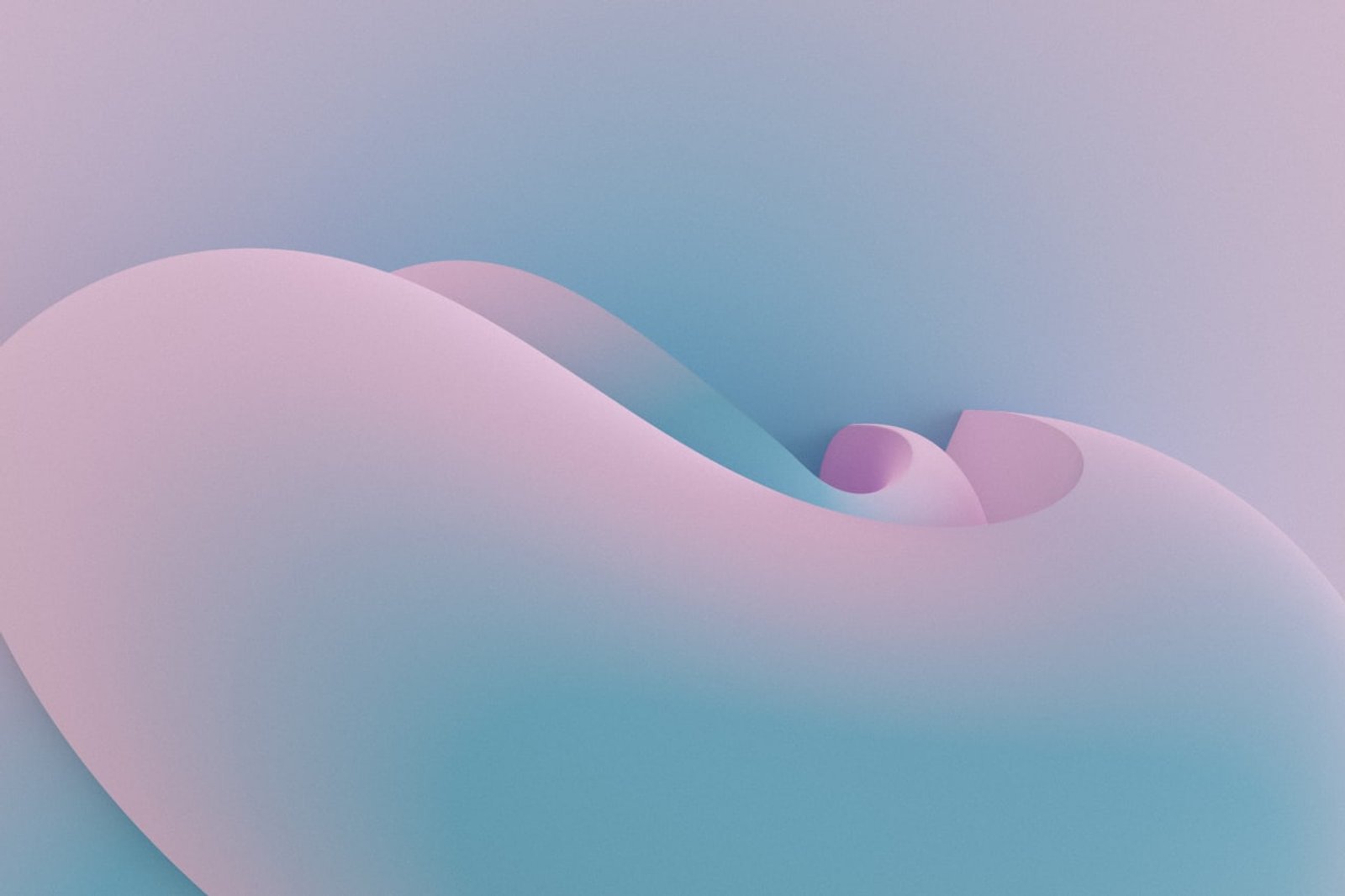 Profile Cover