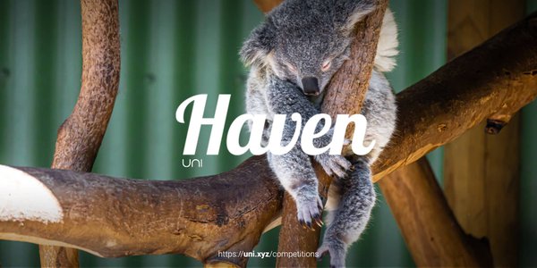 Haven competition banner