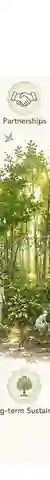 Tiny Forest, Big Impact: Understanding the Complex Dynamics Between Partnerships and Management of Tiny Forest in England