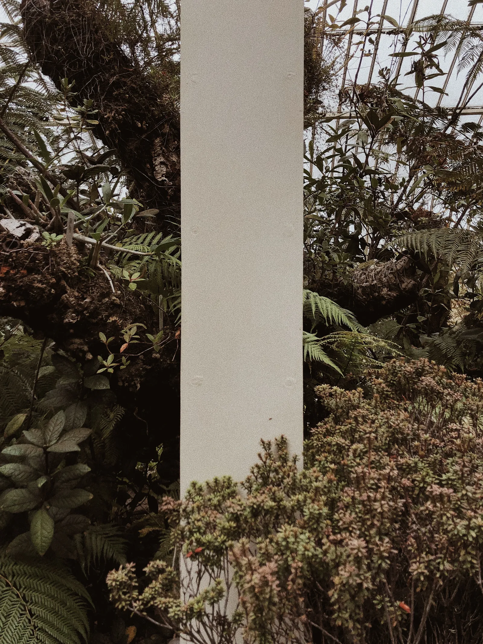 Profile Cover
