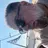 Manolis Mavrantonakis