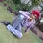 Sardar