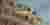 Housing '24 competition banner