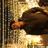 Tushar