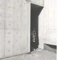 tianrui Fan