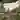 Materials Assembly icon