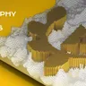 Beegraphy Design Awards