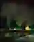 blackwood-image3