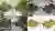 restaurant-greenhouse008