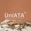UnIATA '26