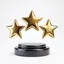 Jury Commendation