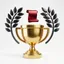 Winner (Master's category)