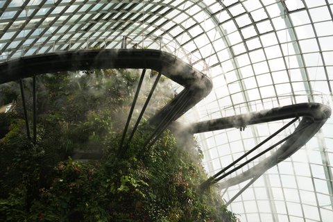 Landscape Design