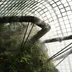 Landscape Design icon