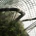 Landscape Design icon
