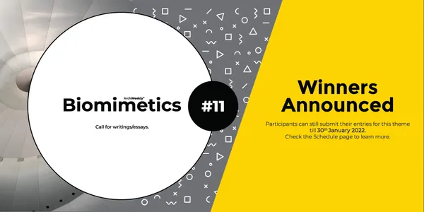 Biomimetics competition banner