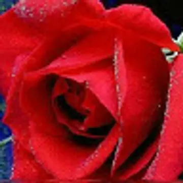 Yash Saraswat